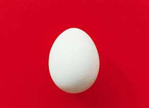 Egg